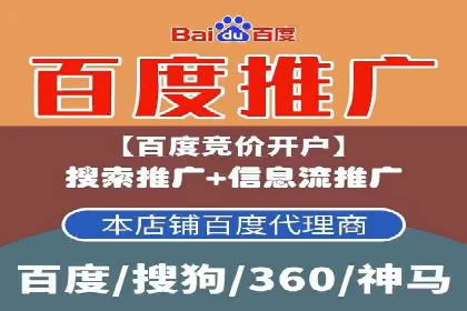 某公司如何通过SEM实现精准营销——从策略到执行的完整案例
